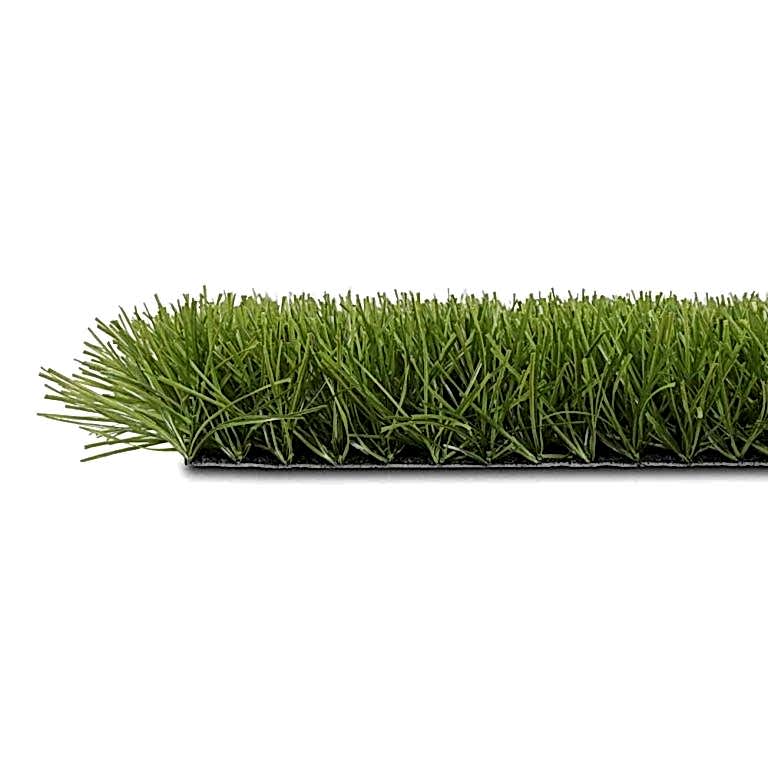 002 power grass suni cim 768x768 1